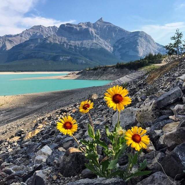 Barrier Lake 5