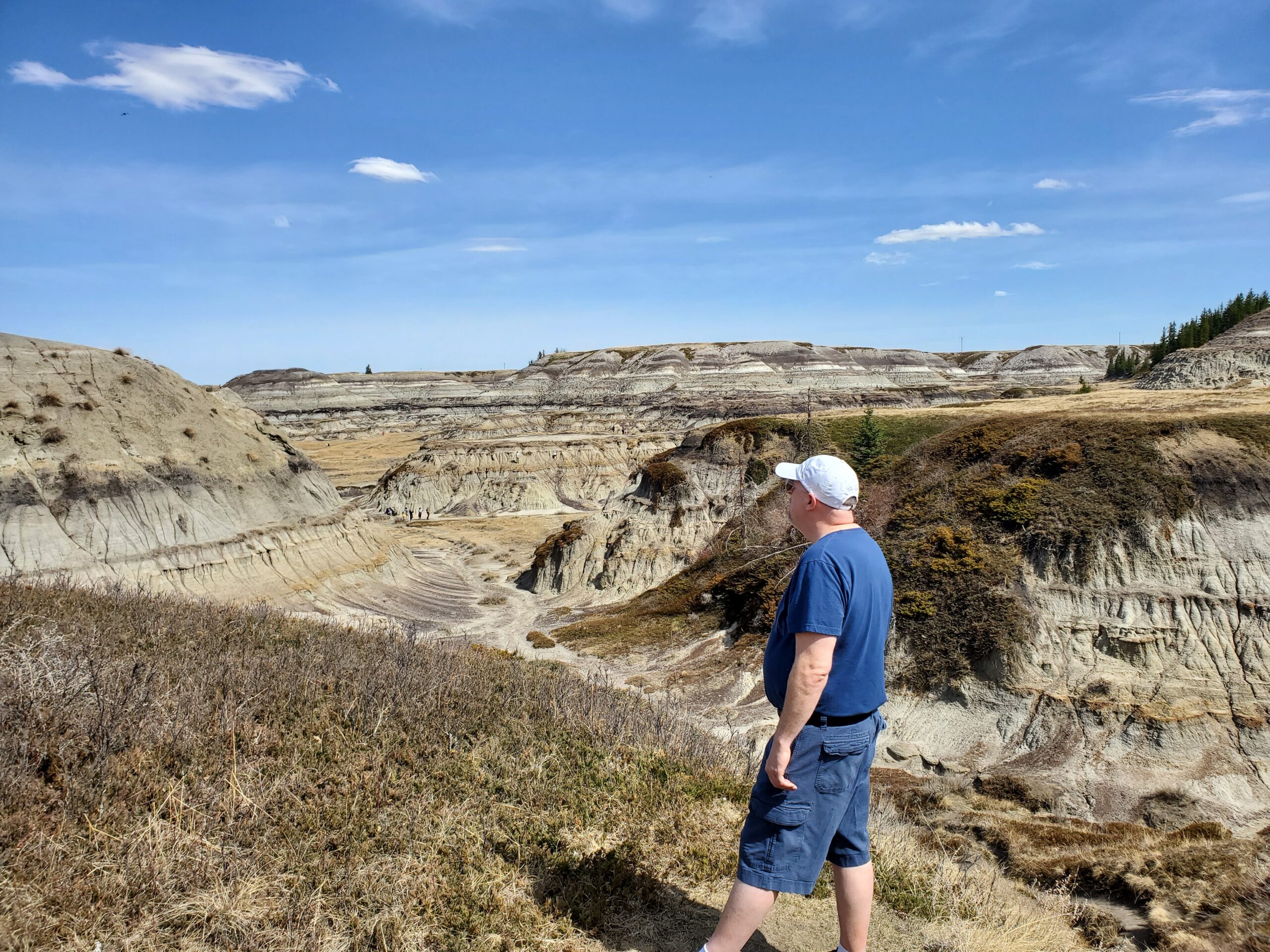 Drumheller badlands David