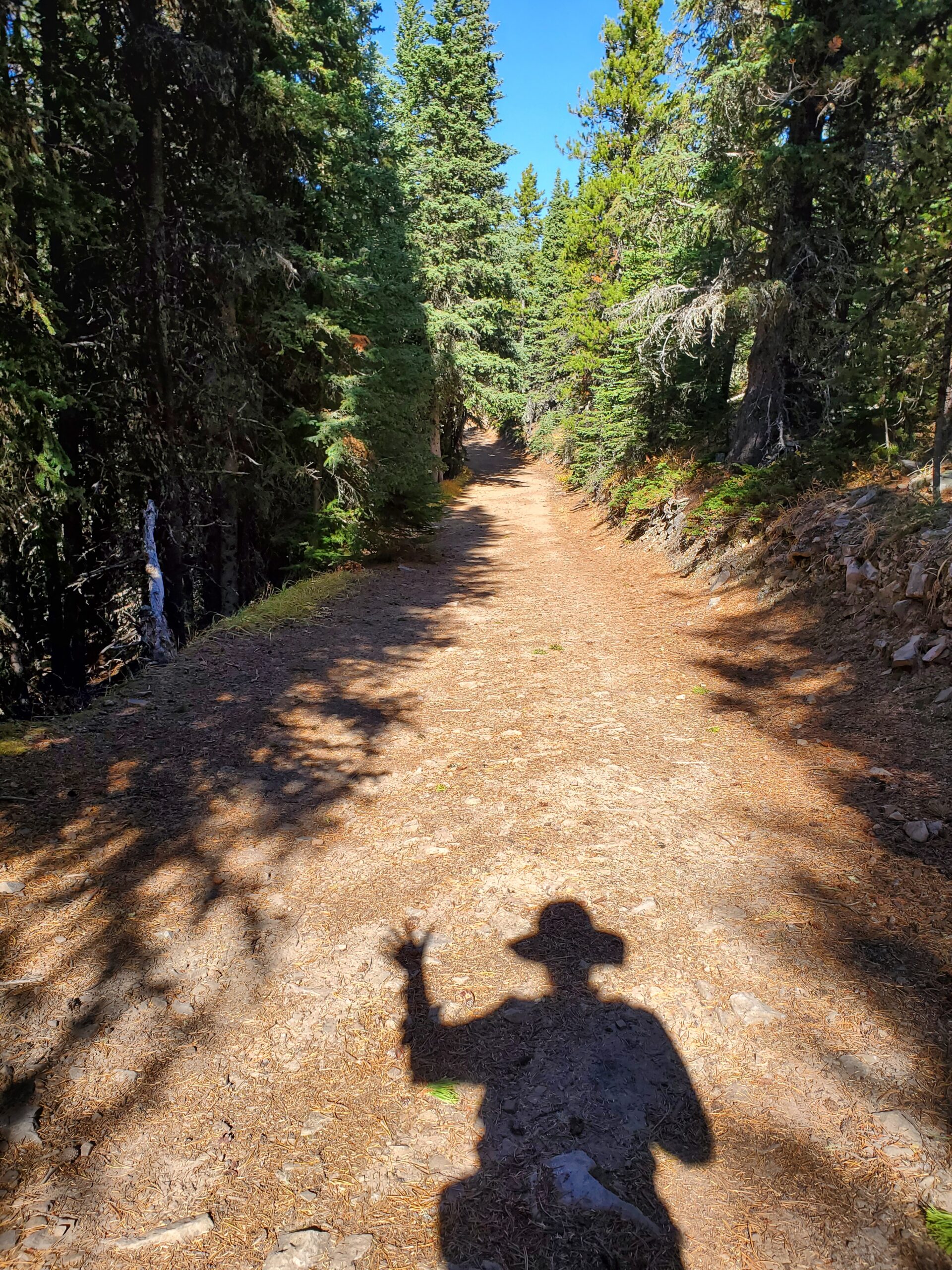 Moose Mountain silhouette
